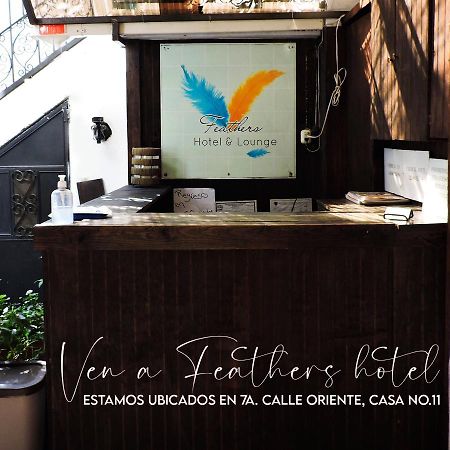 Feathers Hotel & Lounge Antigua Exteriör bild